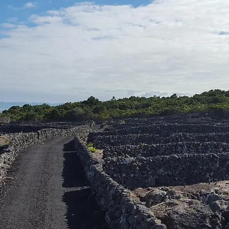 Casa Da Estrela Sirius * Cabeço Chão