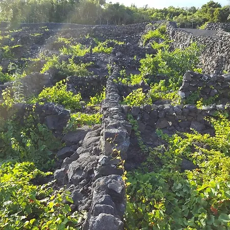 Casa Da Estrela Sirius