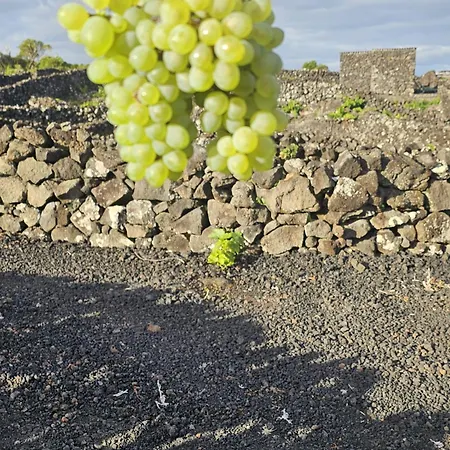 Casa Da Estrela Sirius * Cabeço Chão