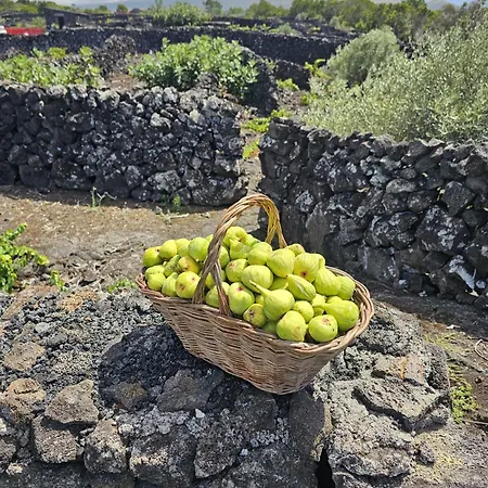 Casa Da Estrela Sirius Nyaraló Cabeço Chão