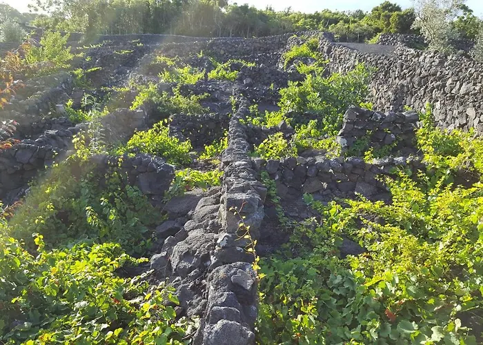 Casa Da Estrela Sirius