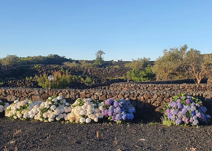 Casa Da Estrela Sirius *
