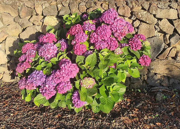 Holiday home Casa Da Estrela Sirius