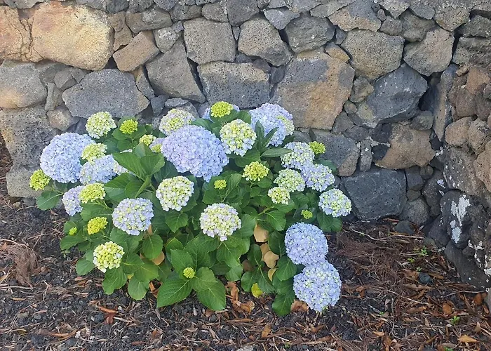 Holiday home Casa Da Estrela Sirius