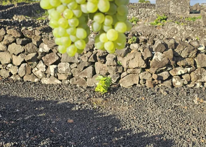 Casa Da Estrela Sirius * Cabeco Chao