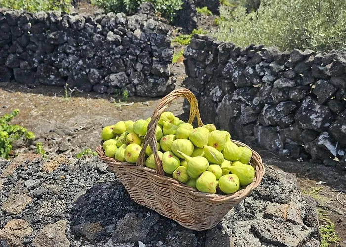 Casa Da Estrela Sirius Holiday home Cabeco Chao